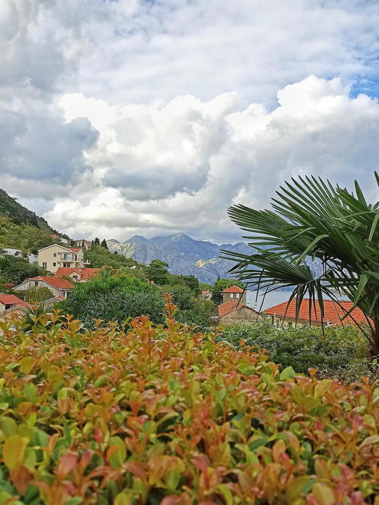 Appartamento Apartment Kotor